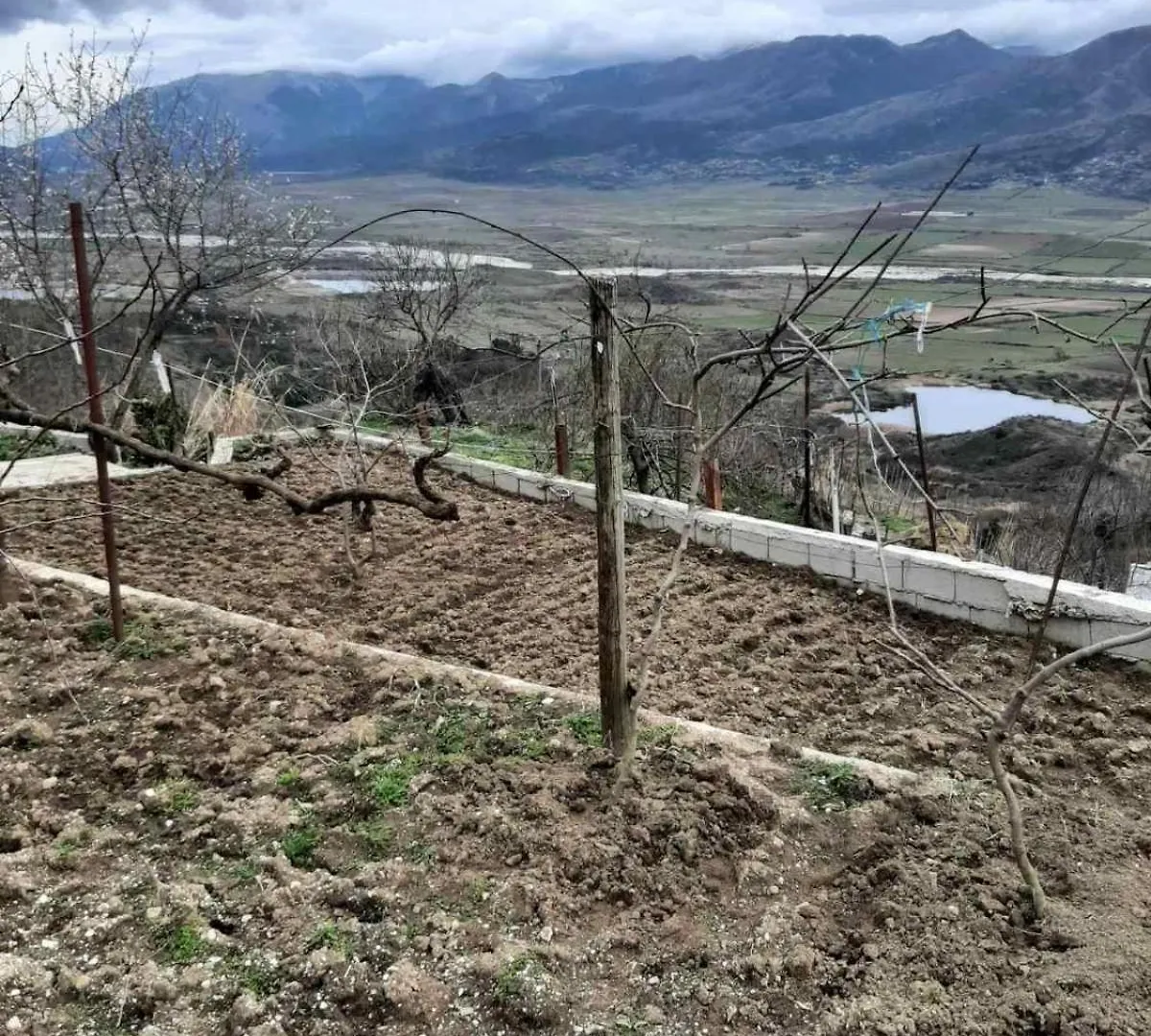 Appartamento Garufalia Peshkepi e Poshtme Albania